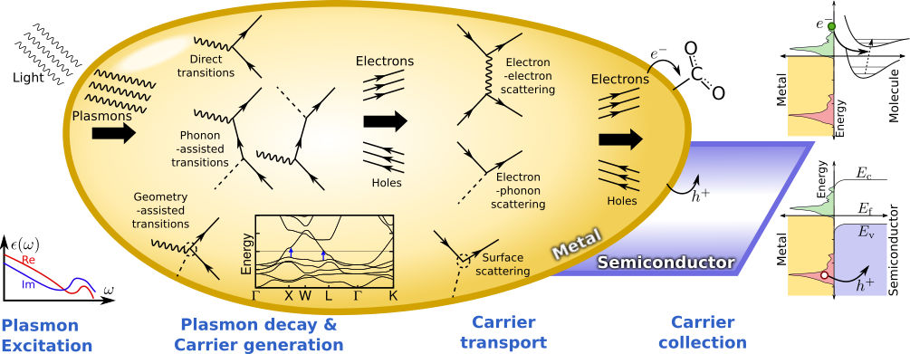 Carrier dynamics