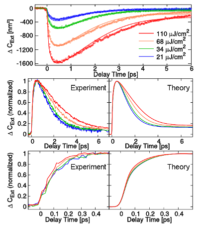 Ab initio ultrafast spectroscopy